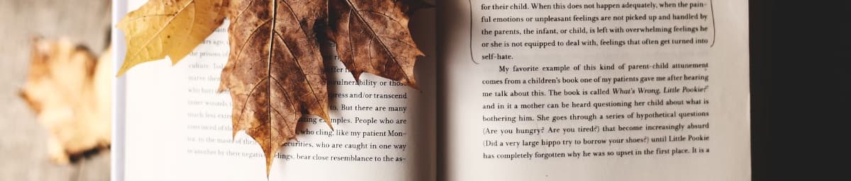 Blogs Banner